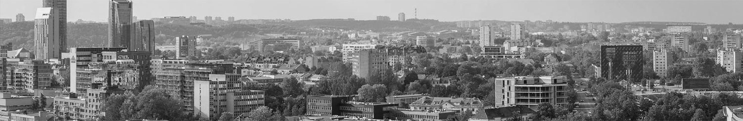 Vilnius Skyline