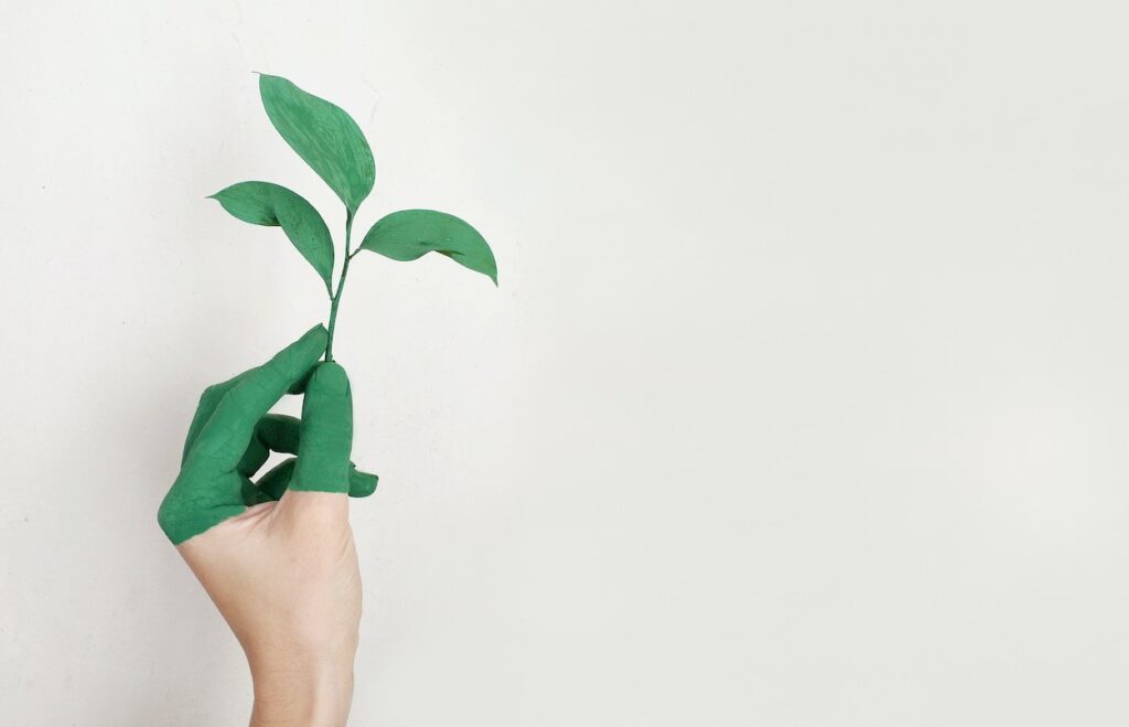 Why Sustainability Matters to Your Business